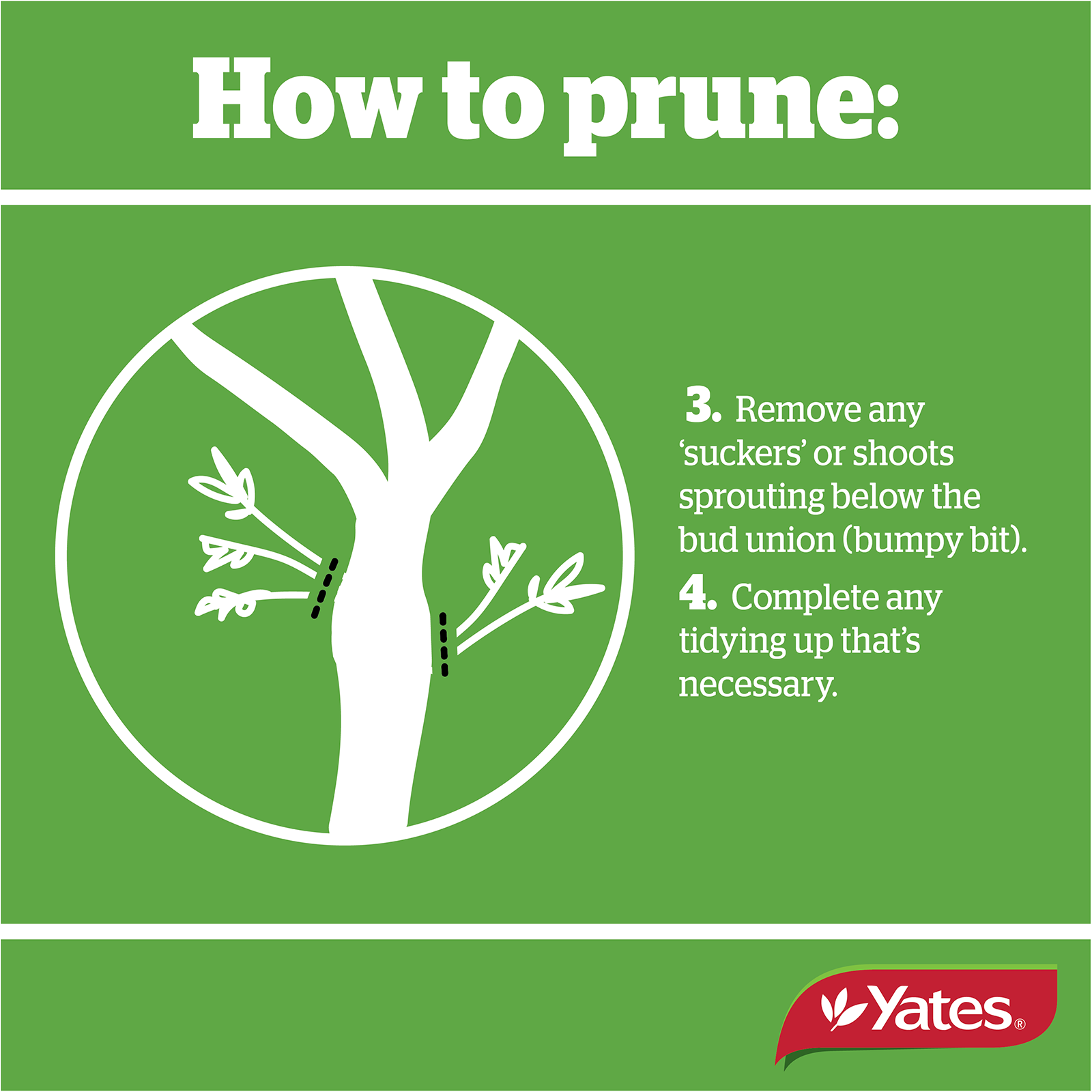 Yates Web Prunetec V1 07