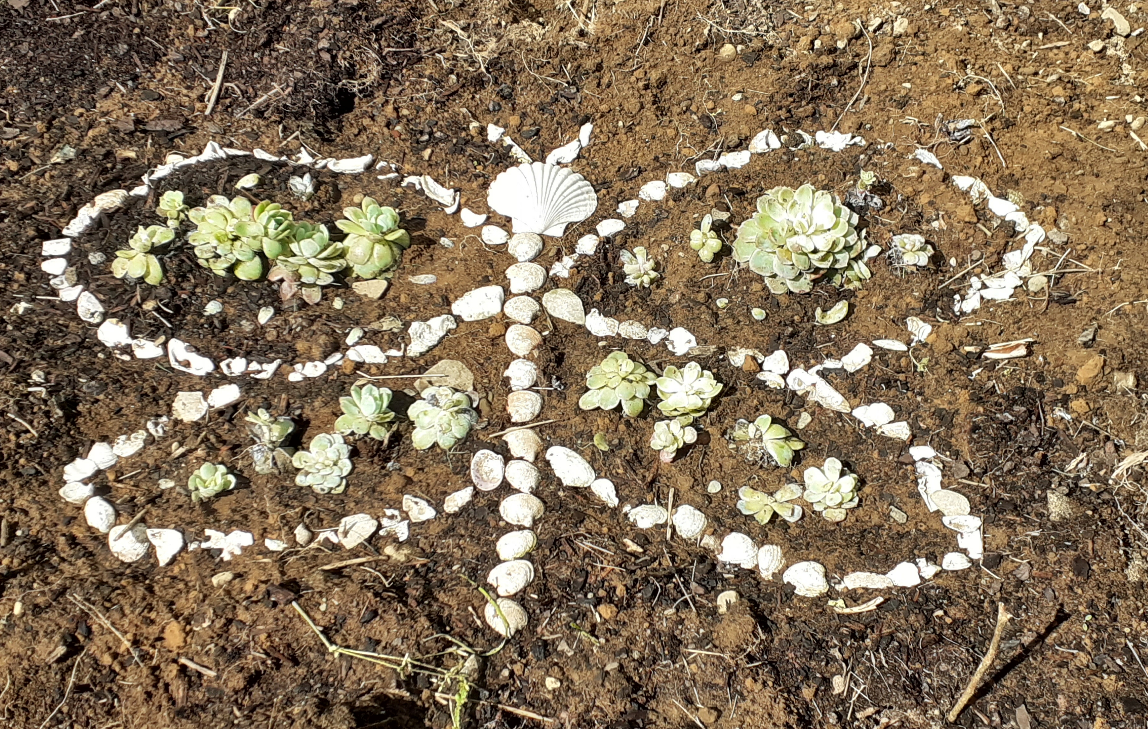 Many hands make light work!!