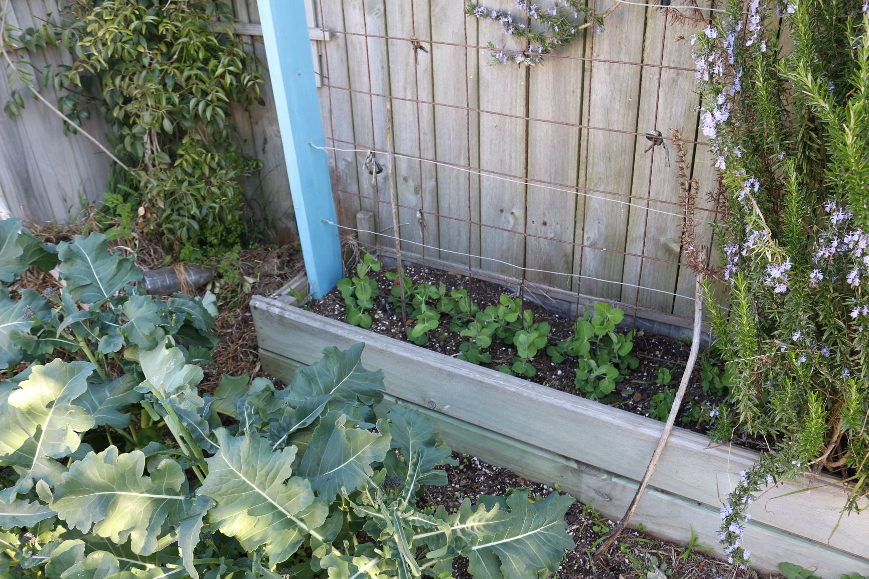 Onwards and upwards!