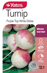 Turnip 'Purple Top White Globe'