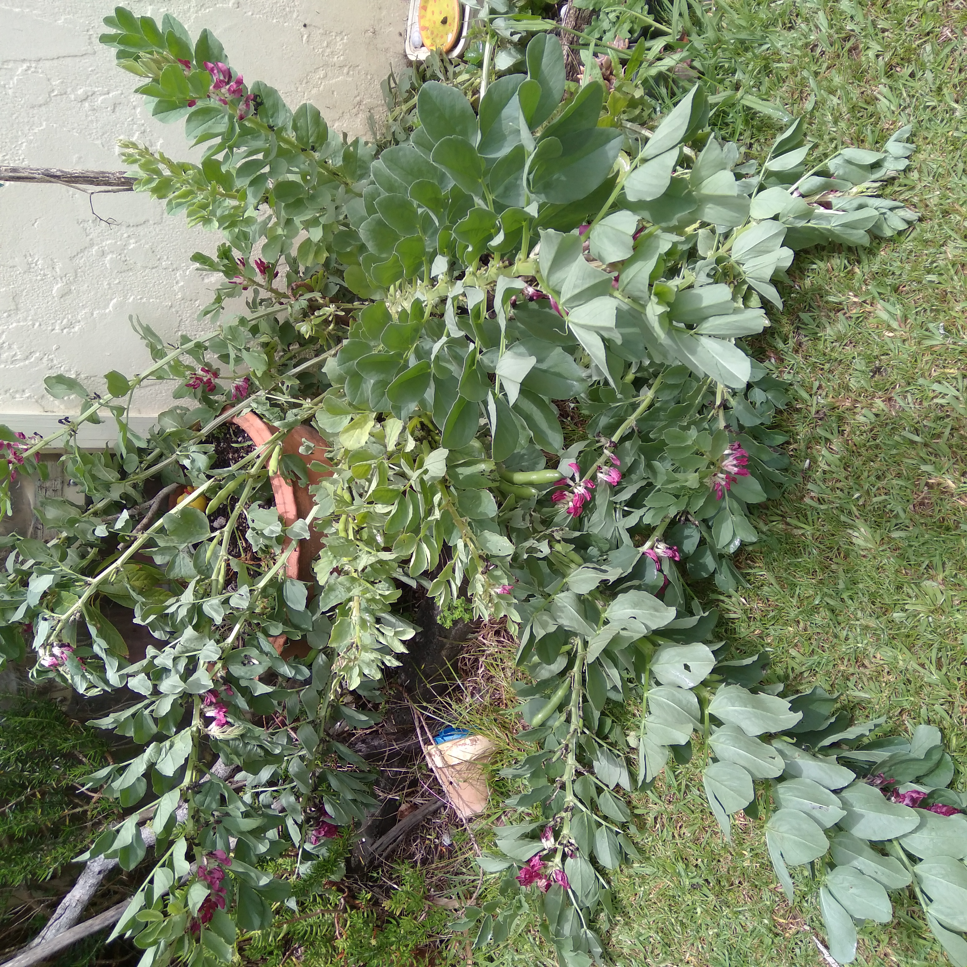 Good News Bad News post storm update