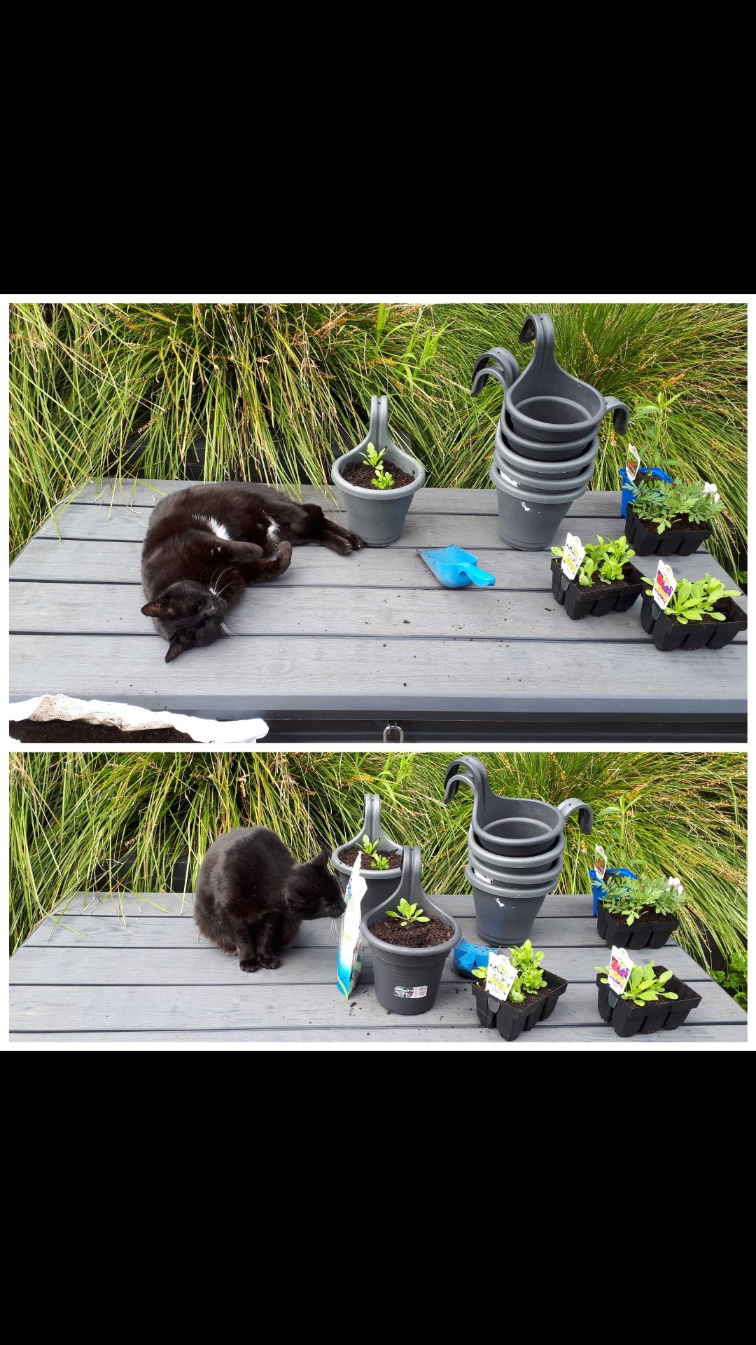 Live life in full bloom