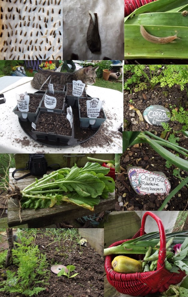 I feel like a REAL gardener!