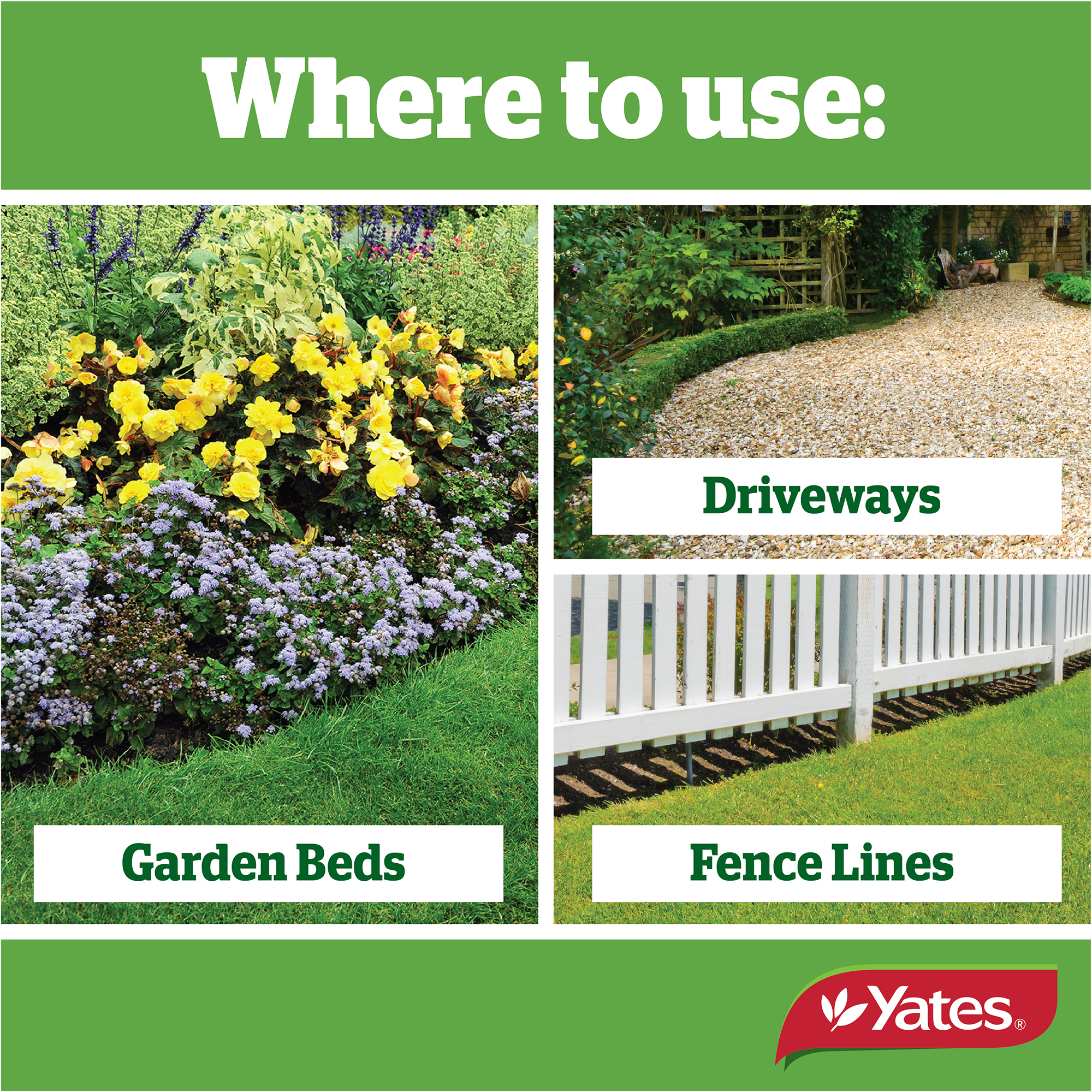 Yates Web Info ZERO RAPID V2 07