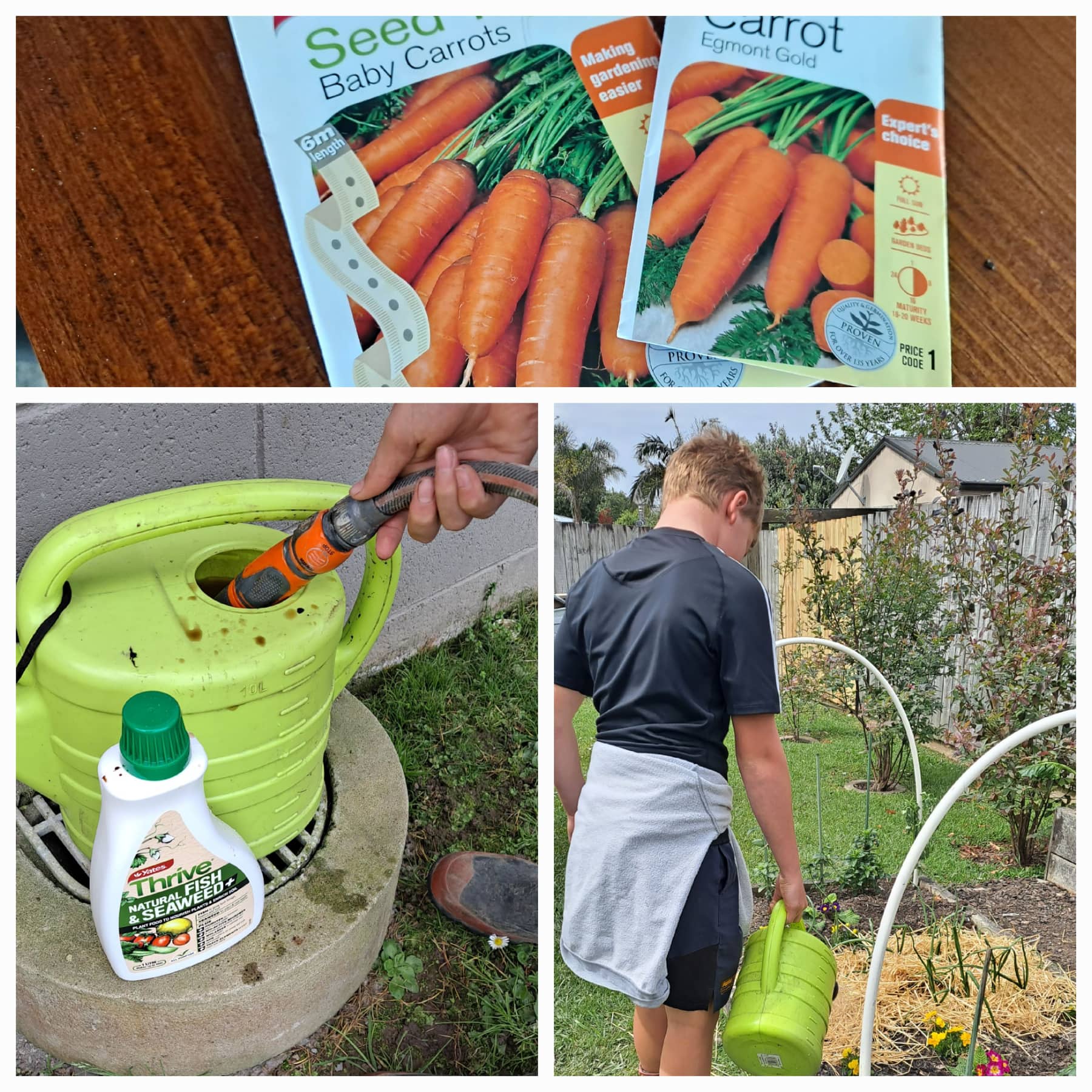 Cleaning, Planting and Sowing