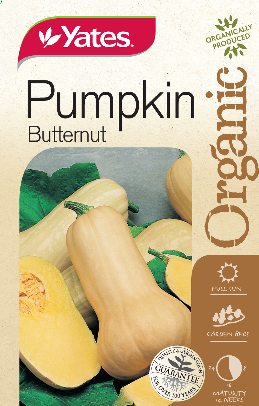 Pumpkin 'Butternut' (Organic)