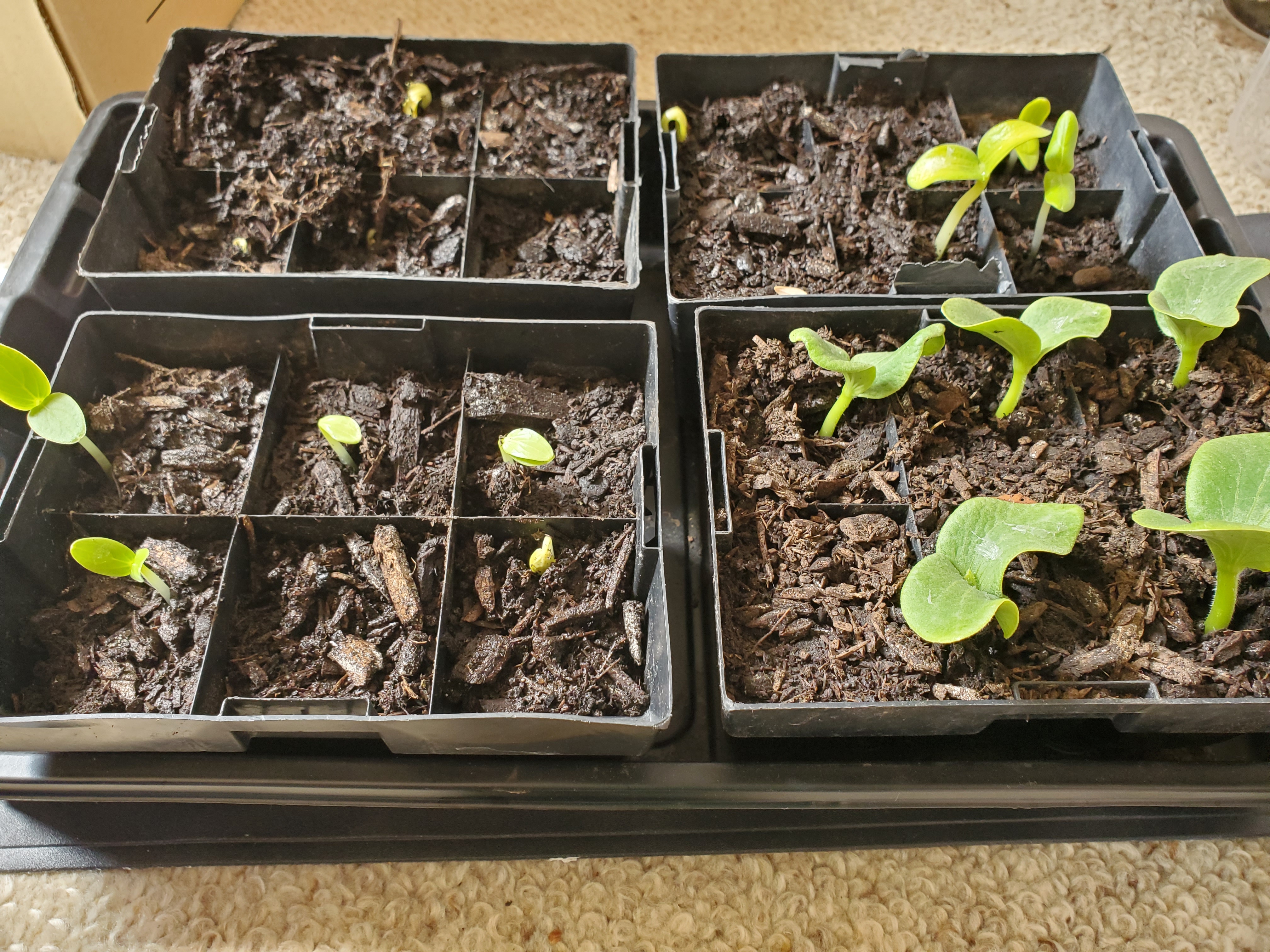 Better late than never