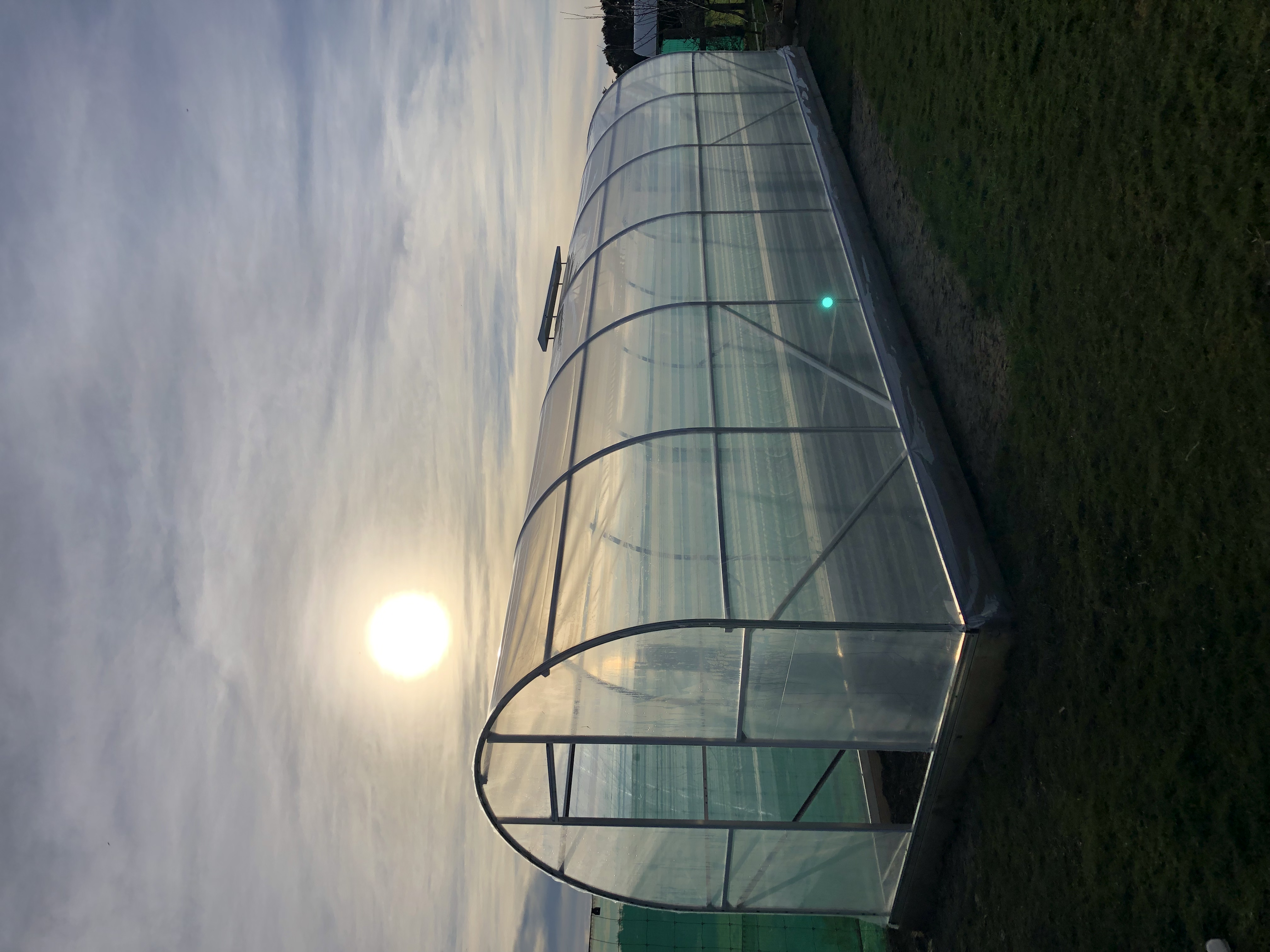 Getting excited for spring!