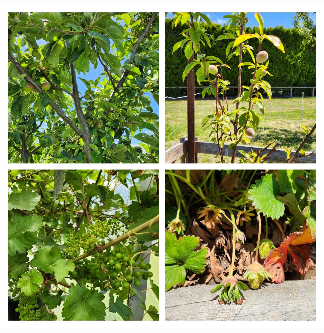 Ticking Off the List 