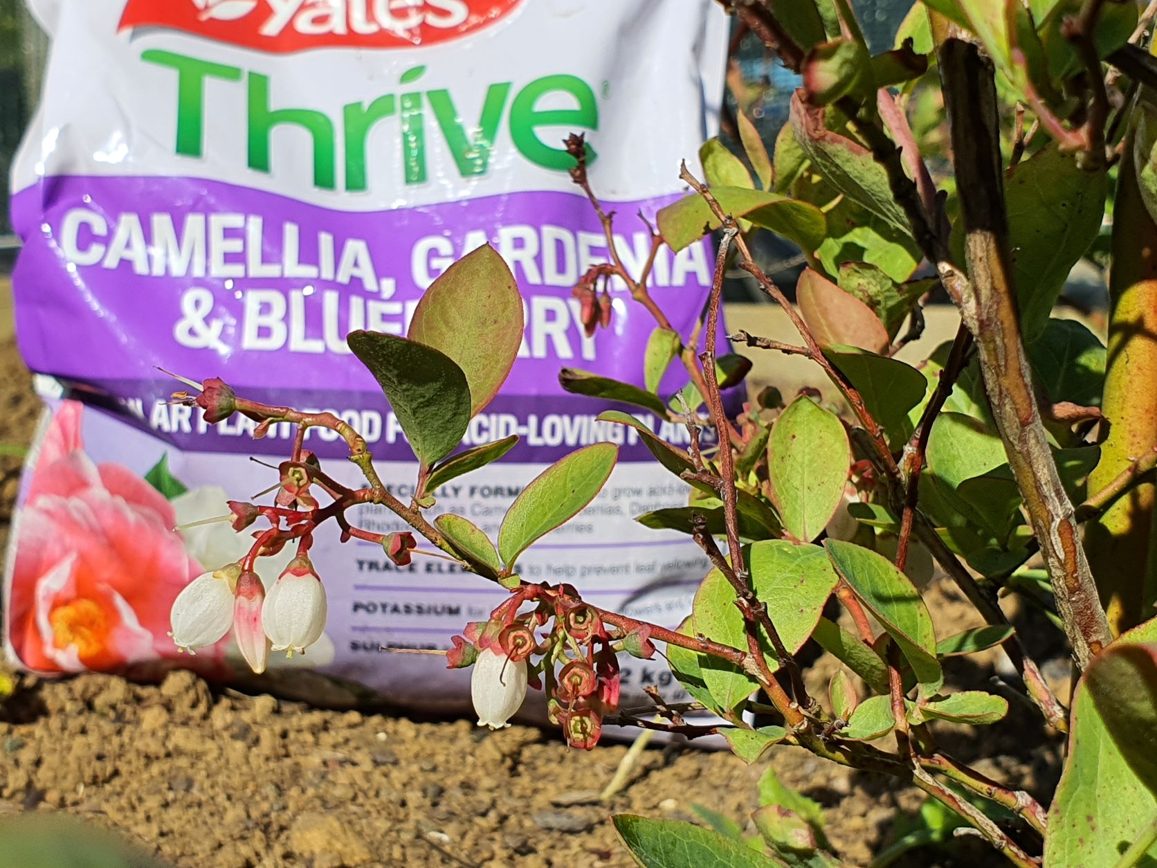 Friday Top Tips – International Fruit and Vegetable Day