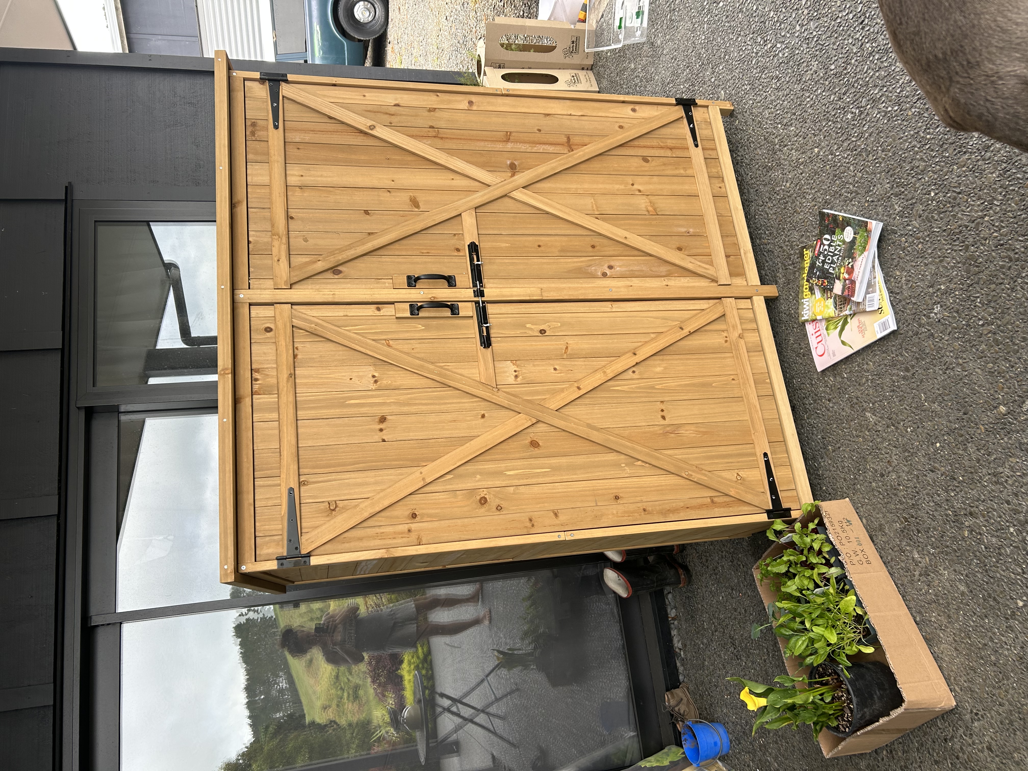 A very wet Christmas 