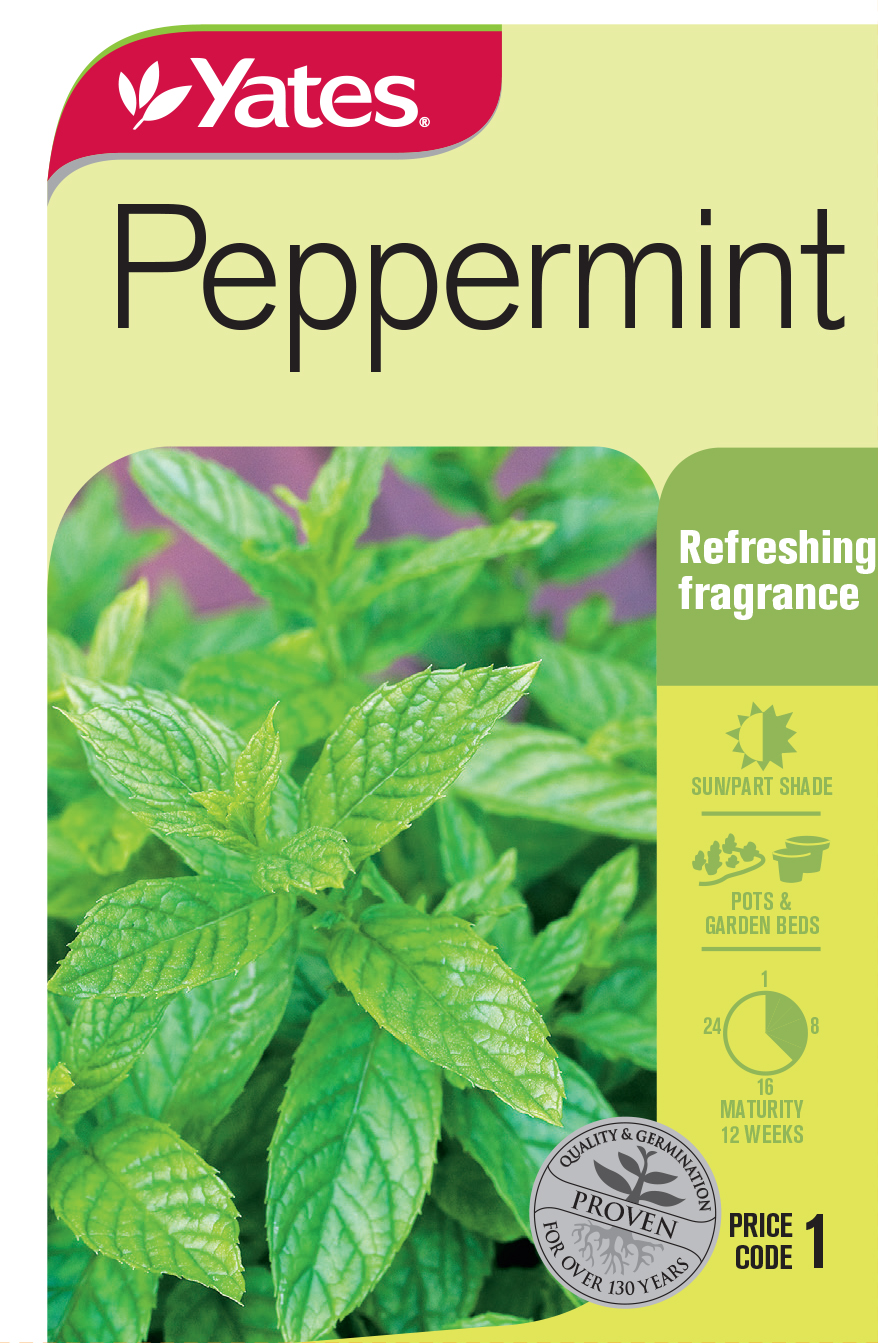 54659 Yates Herb Peppermint Packet Seed