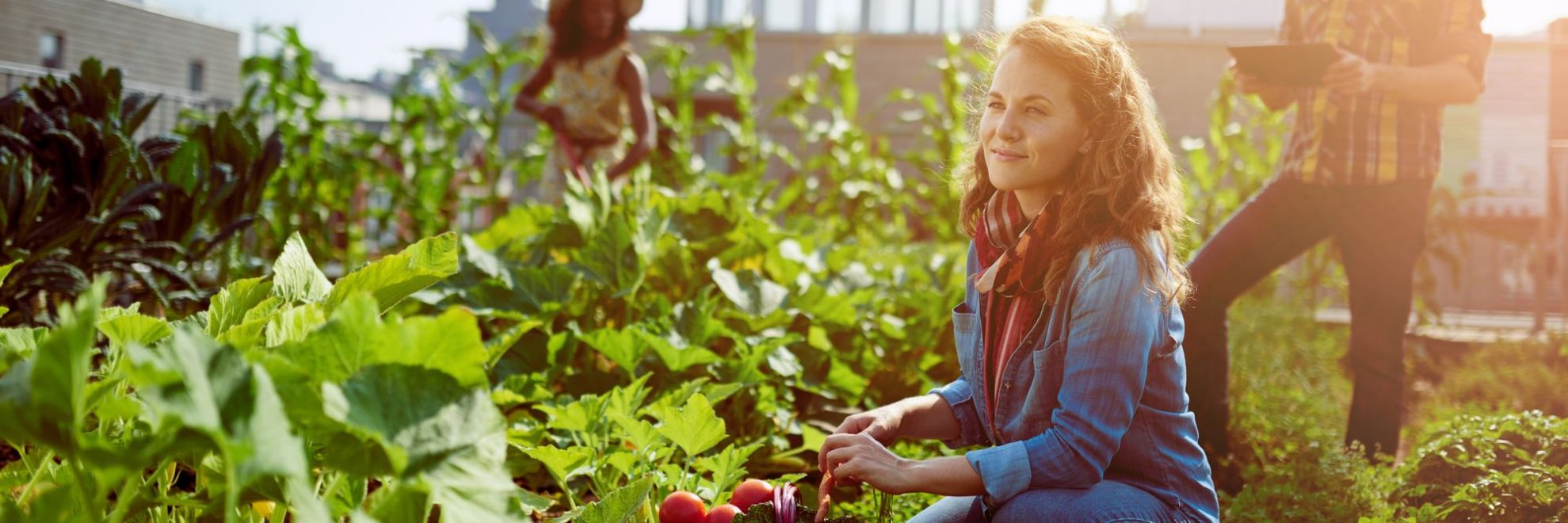 Get Yourself Some Inbox Inspiration!