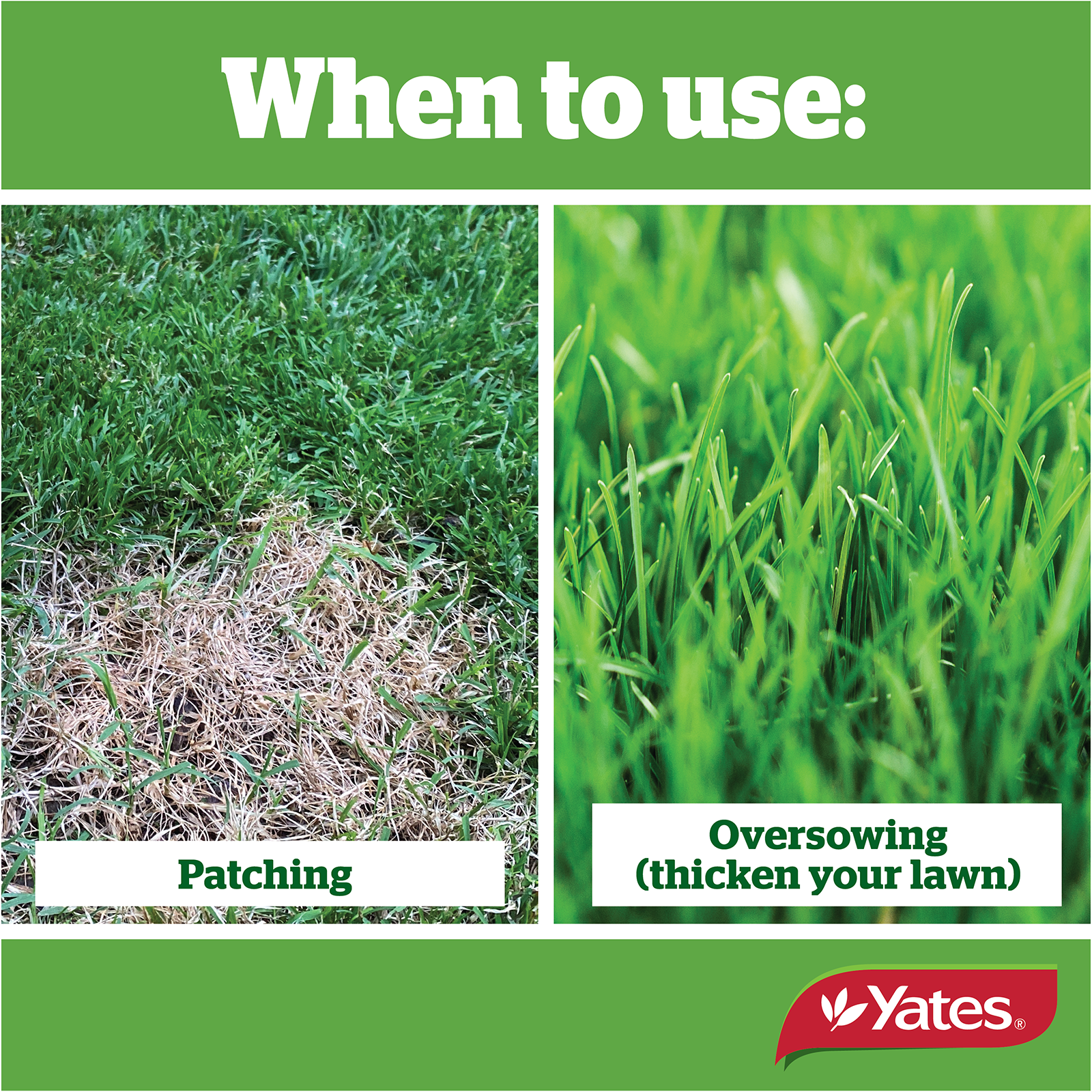 Yates Tuff Grass V3 06