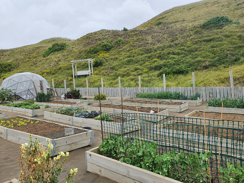 More of the same for now