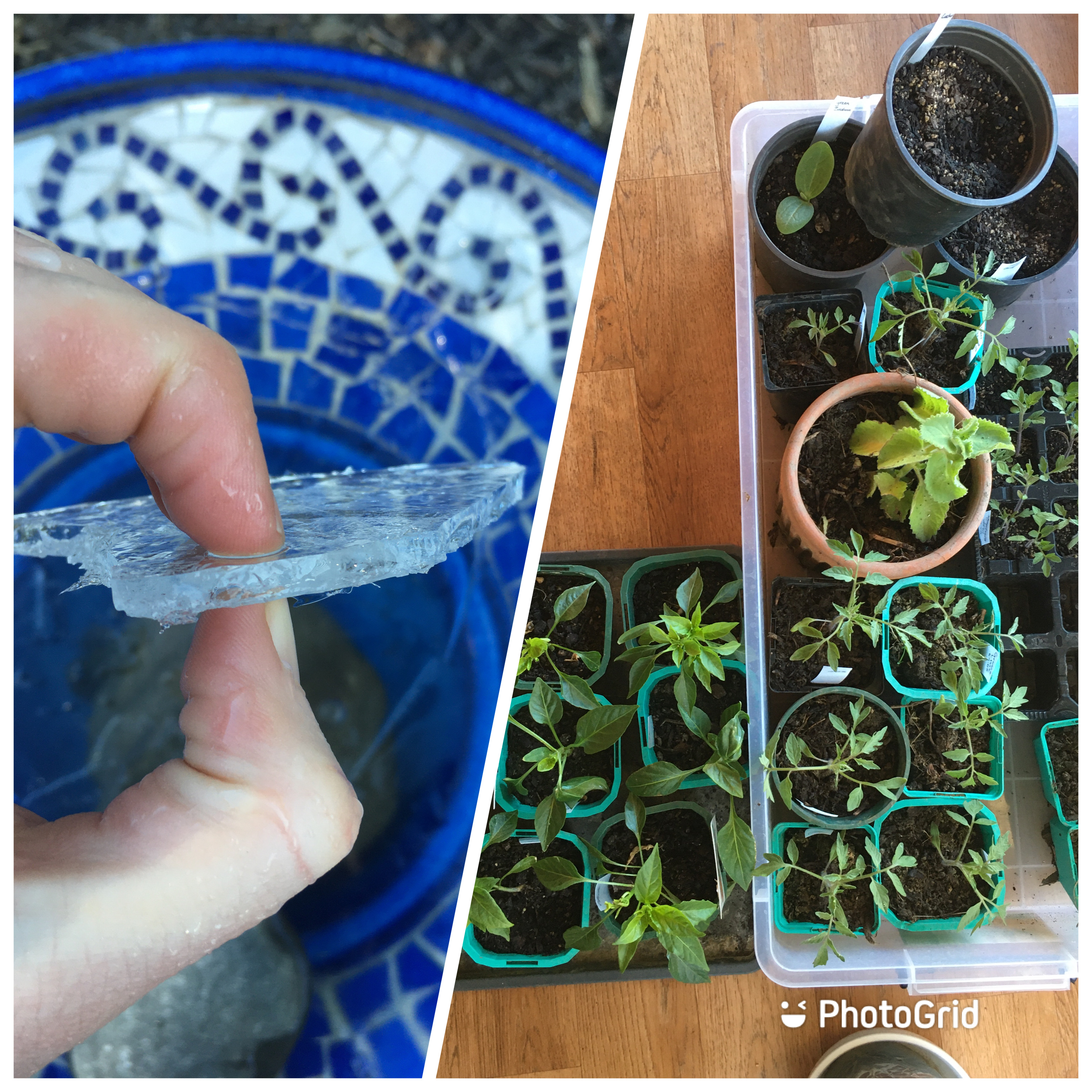 Will the polar blast reach us?