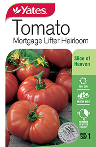 Tomato 'Mortgage Lifter' Heirloom