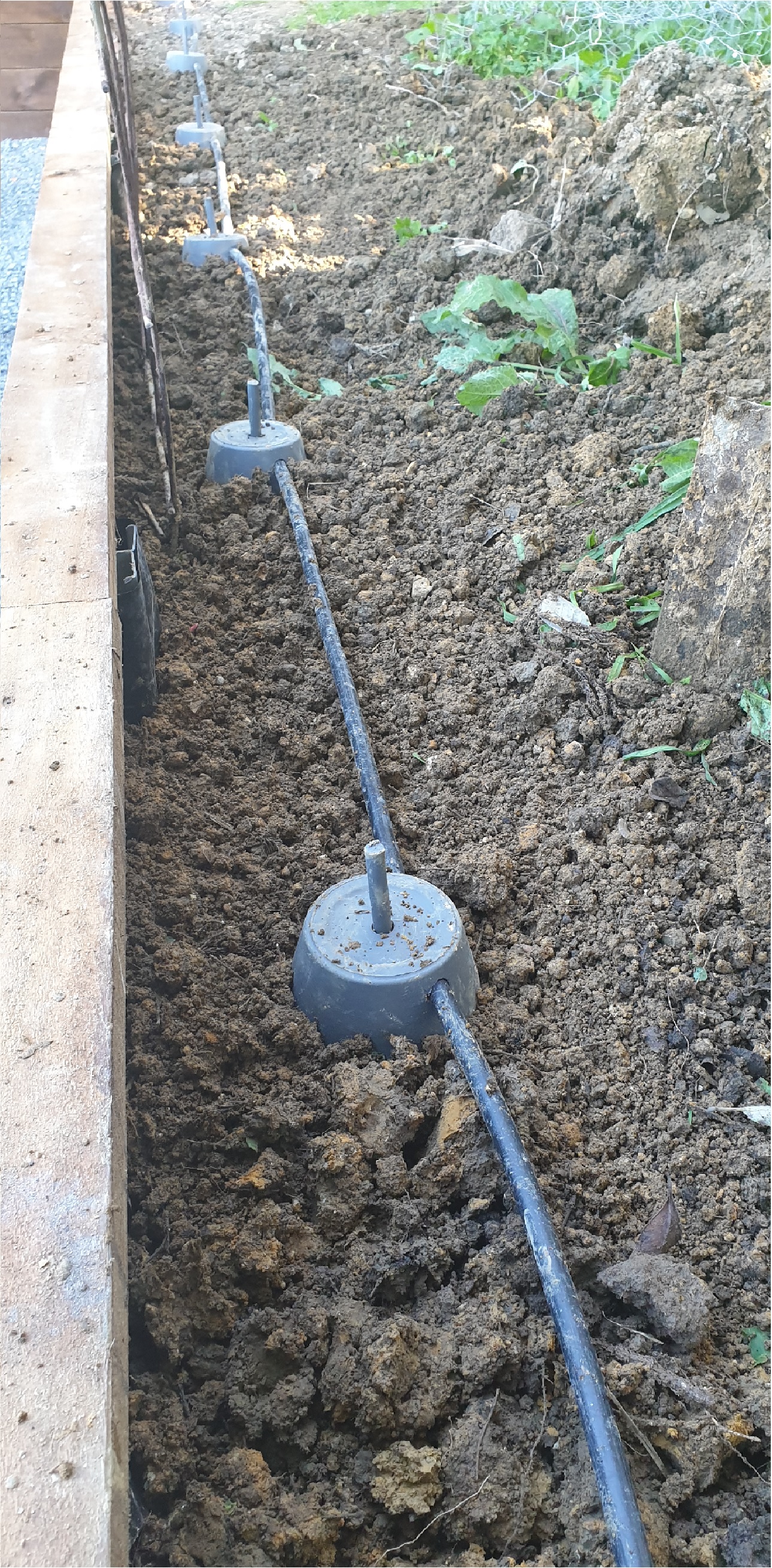 Water.  Water?  Water!