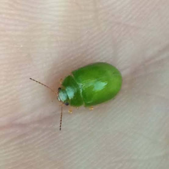 Well that was unexpected 