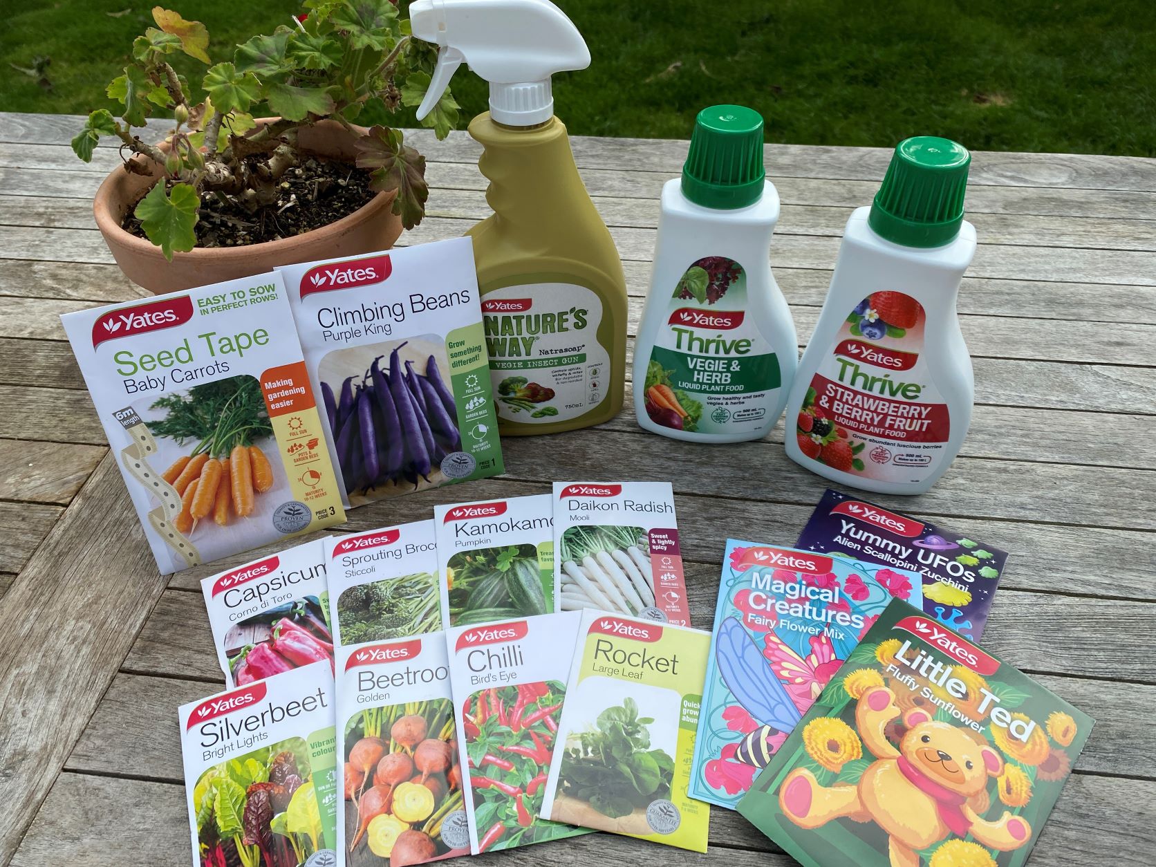 Congratulations Mini Challenge Winners