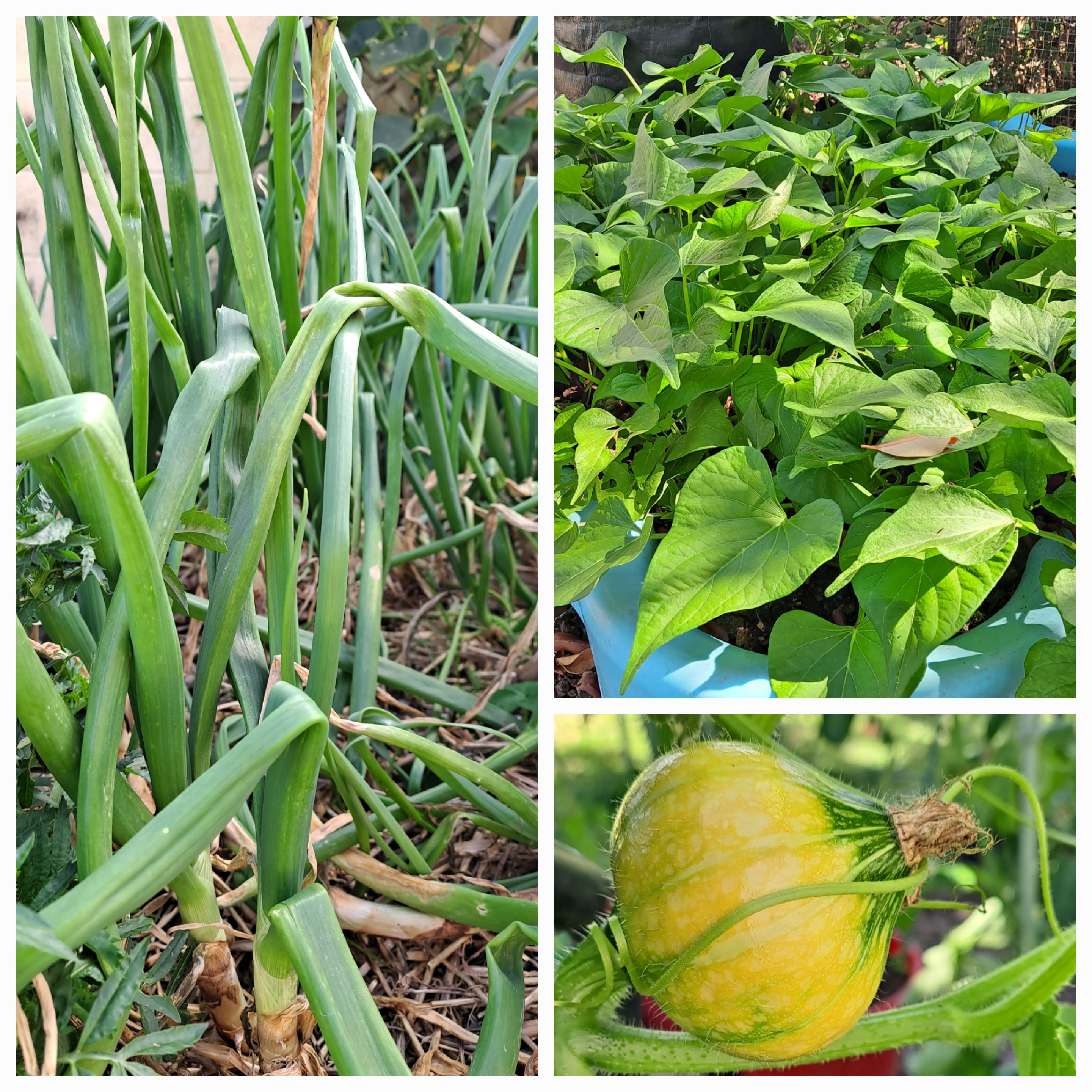 Beautiful First Day For The Holidays