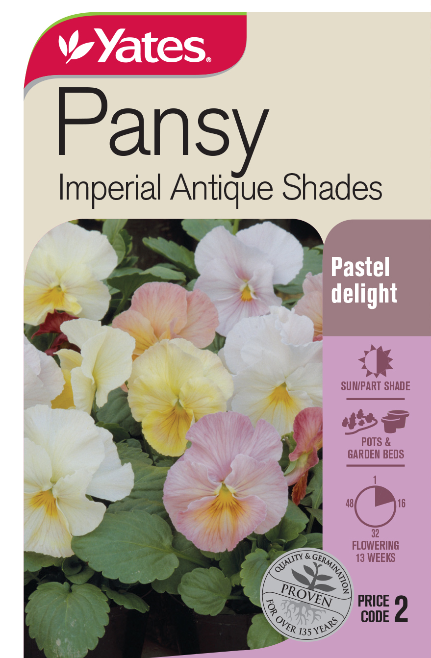 Pansy 'Imperial Antique Shades'