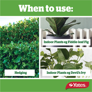 Yates Clonex Root Gel