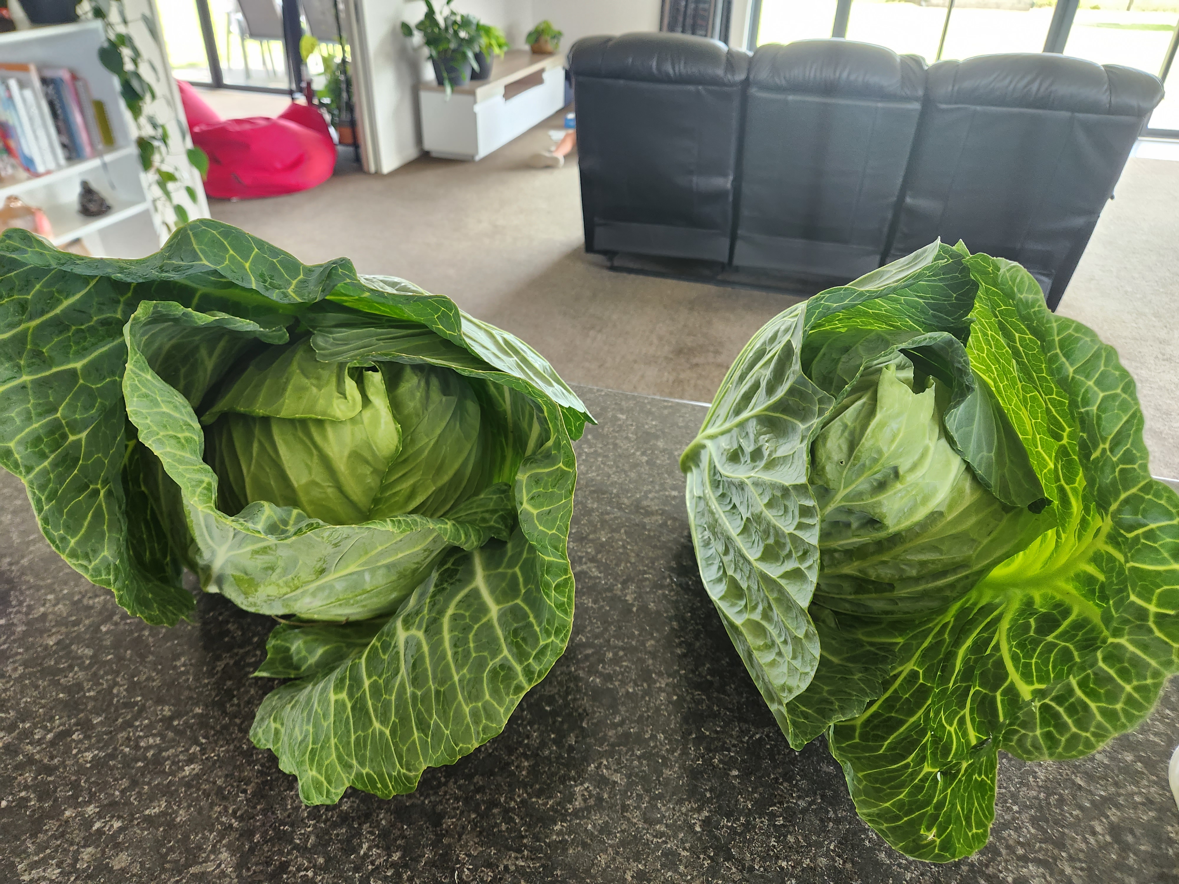 Have a Wonderful Christmas! 