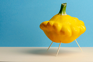 Alien Scallopini Main