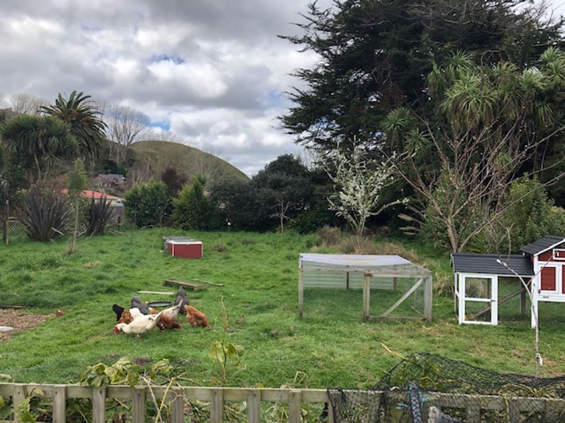 Little bit grey today