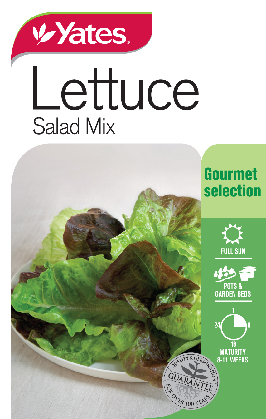 Lettuce 'Salad Mix'