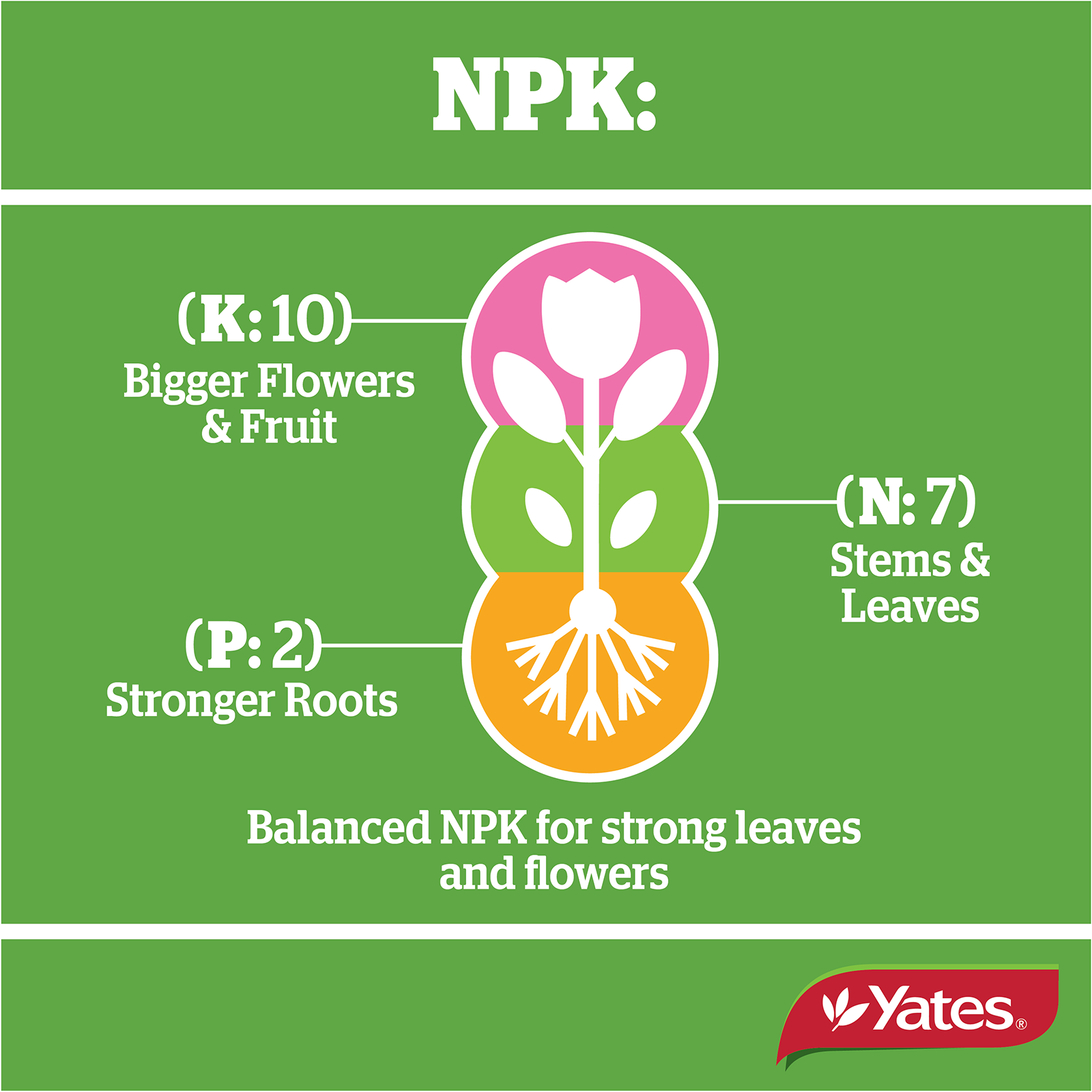 Yates Plant Orchid Liquid V2 06