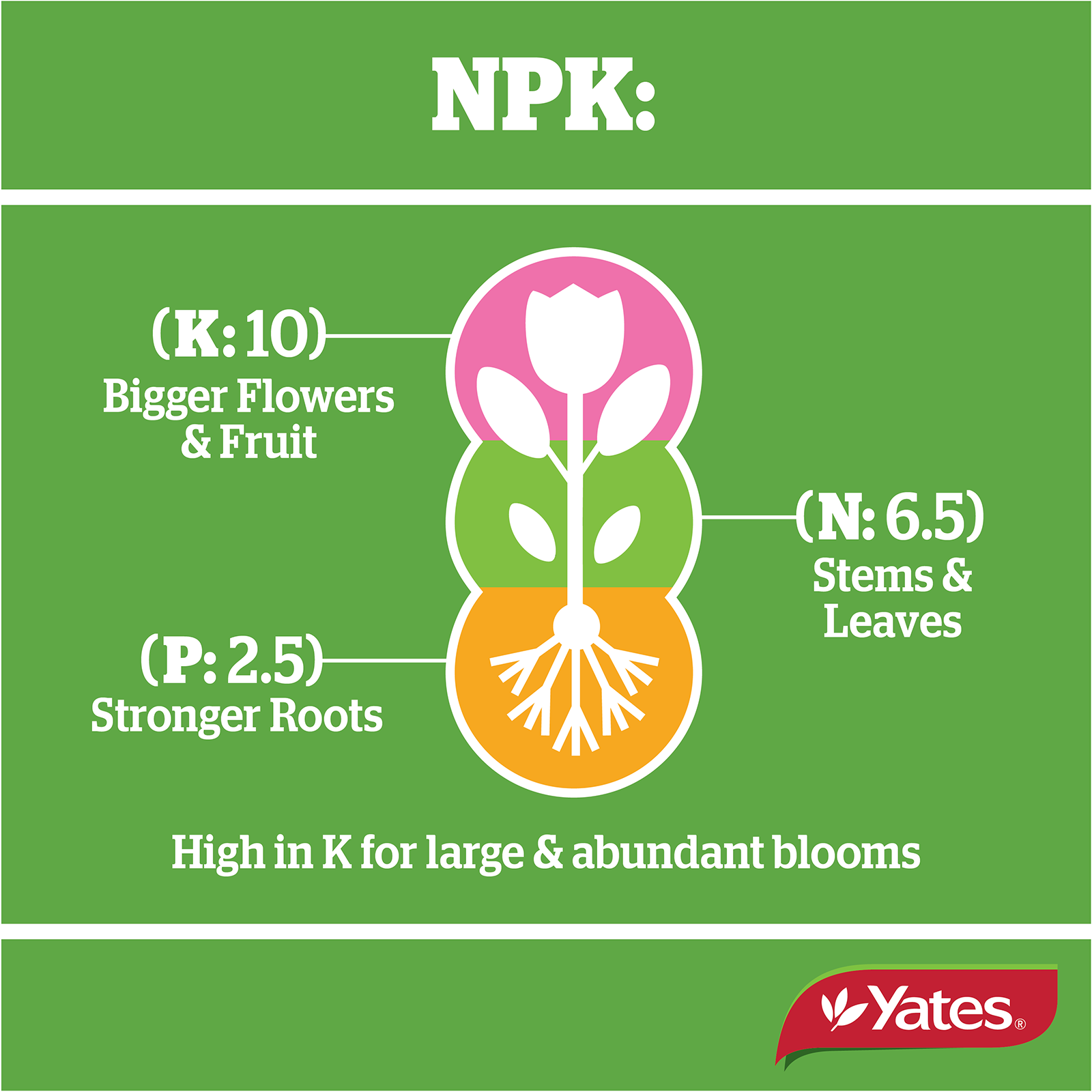 Yates Roses And Flowers Granulars V1 08