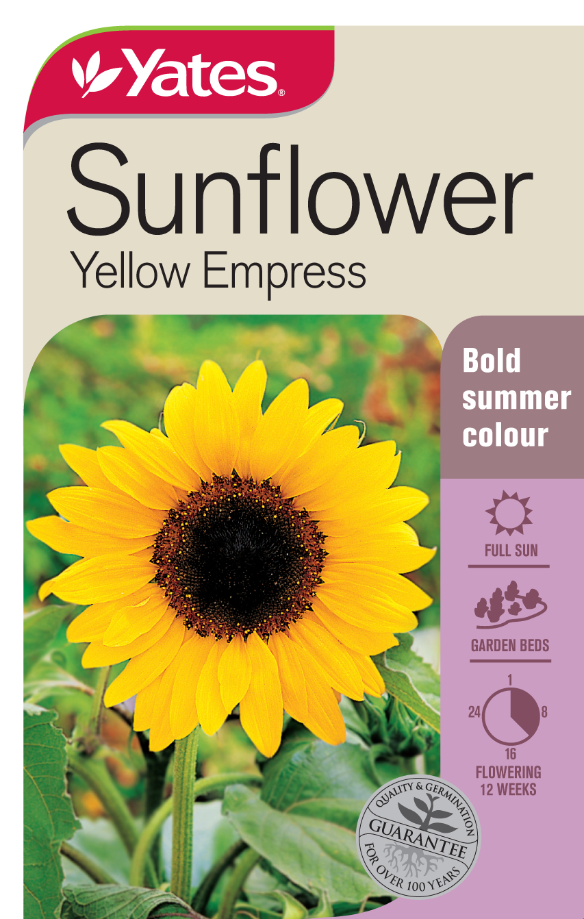 31840 Yates Flwr Sunflower Yellow Emp Packet Seed