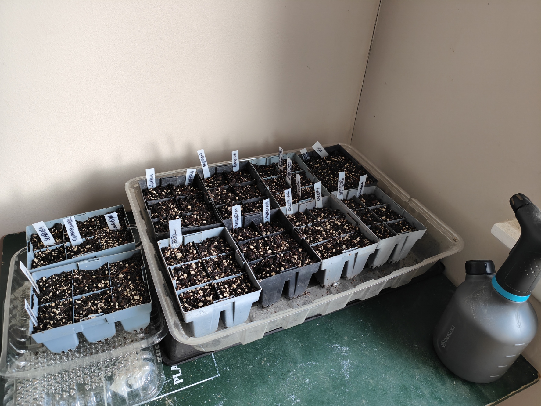 I’m Late to the Start of August