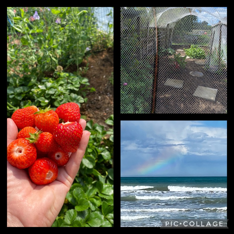 Happiness is a handful of strawberries