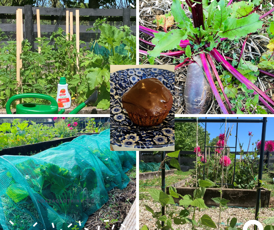 Updates from Netherby