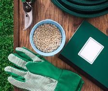 Seed Finder