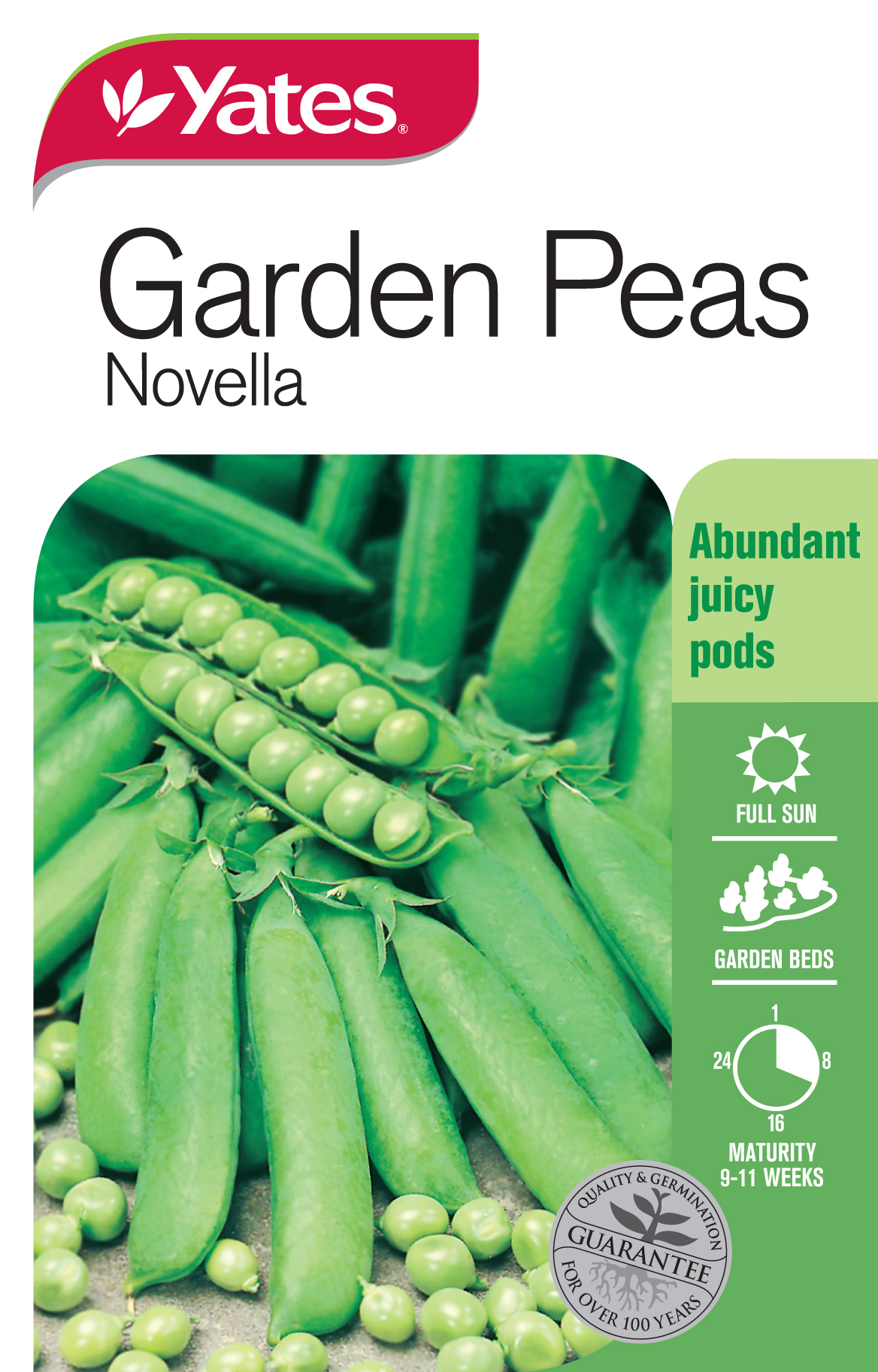 Peas 'Novella'