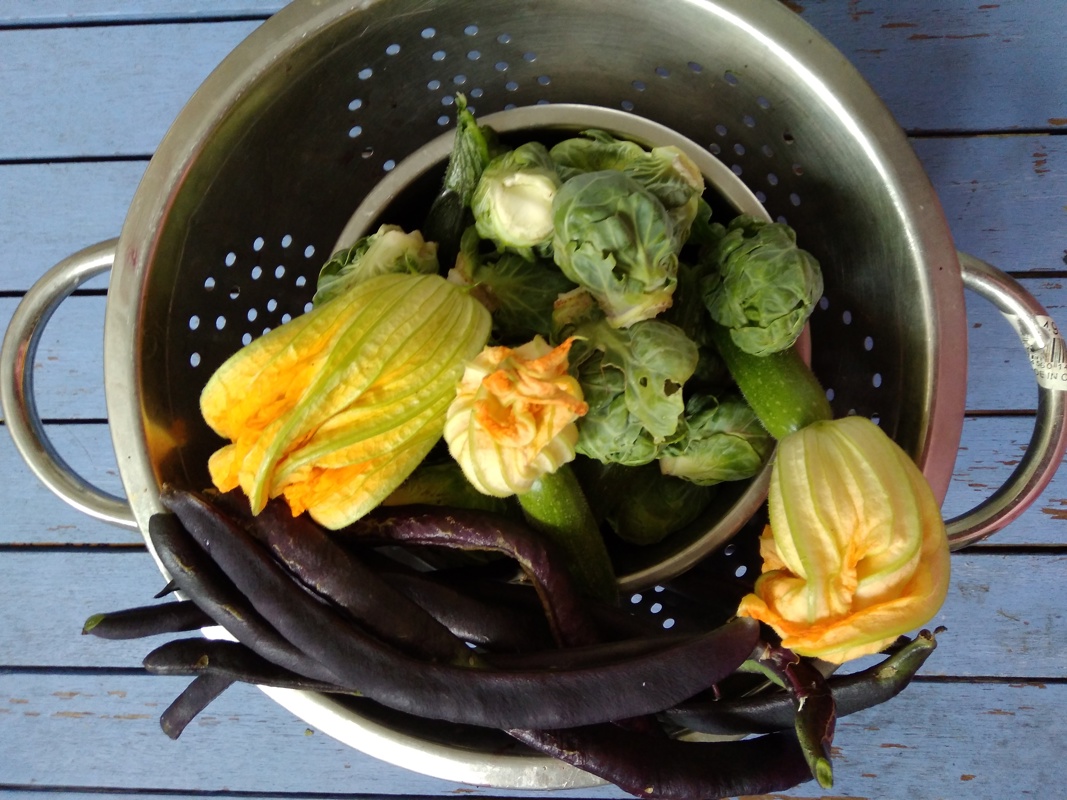 The gift that gives back !