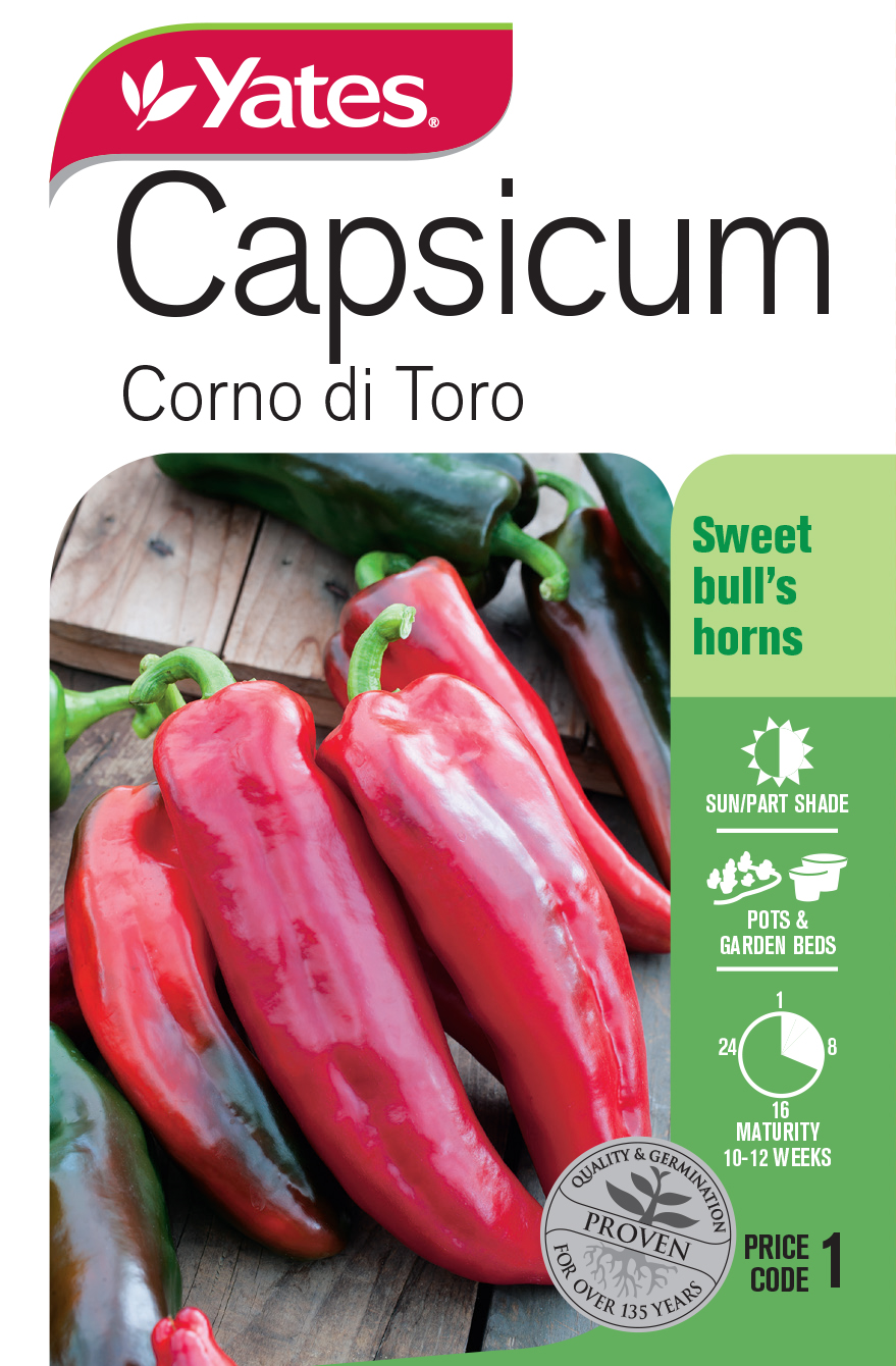 Capsicum 'Corno di Toro'