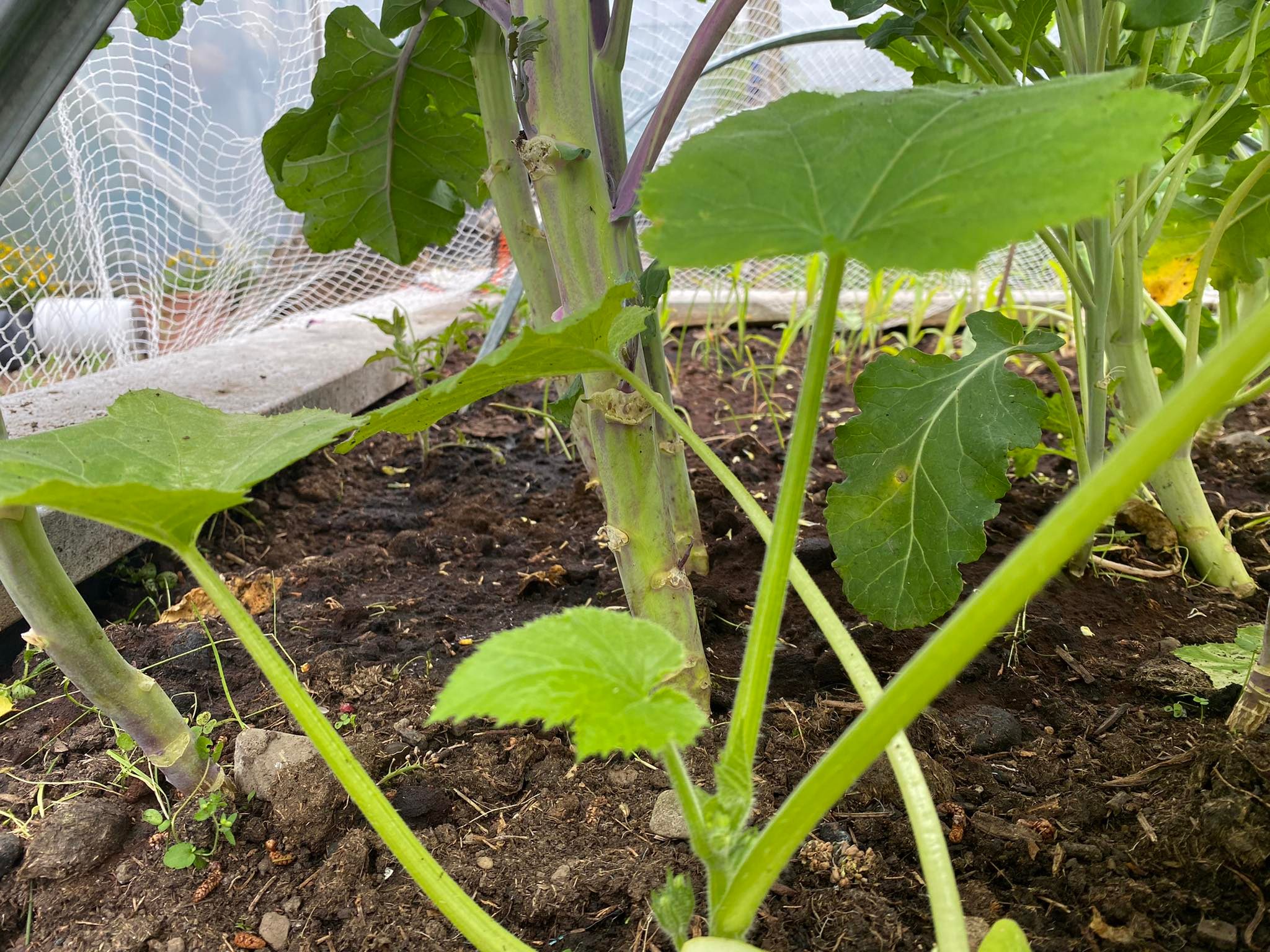 filling all the spaces in :) 