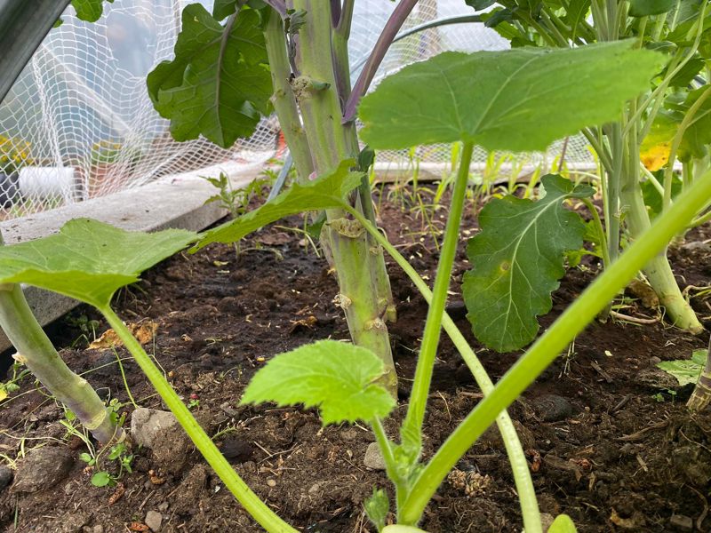 filling all the spaces in :)