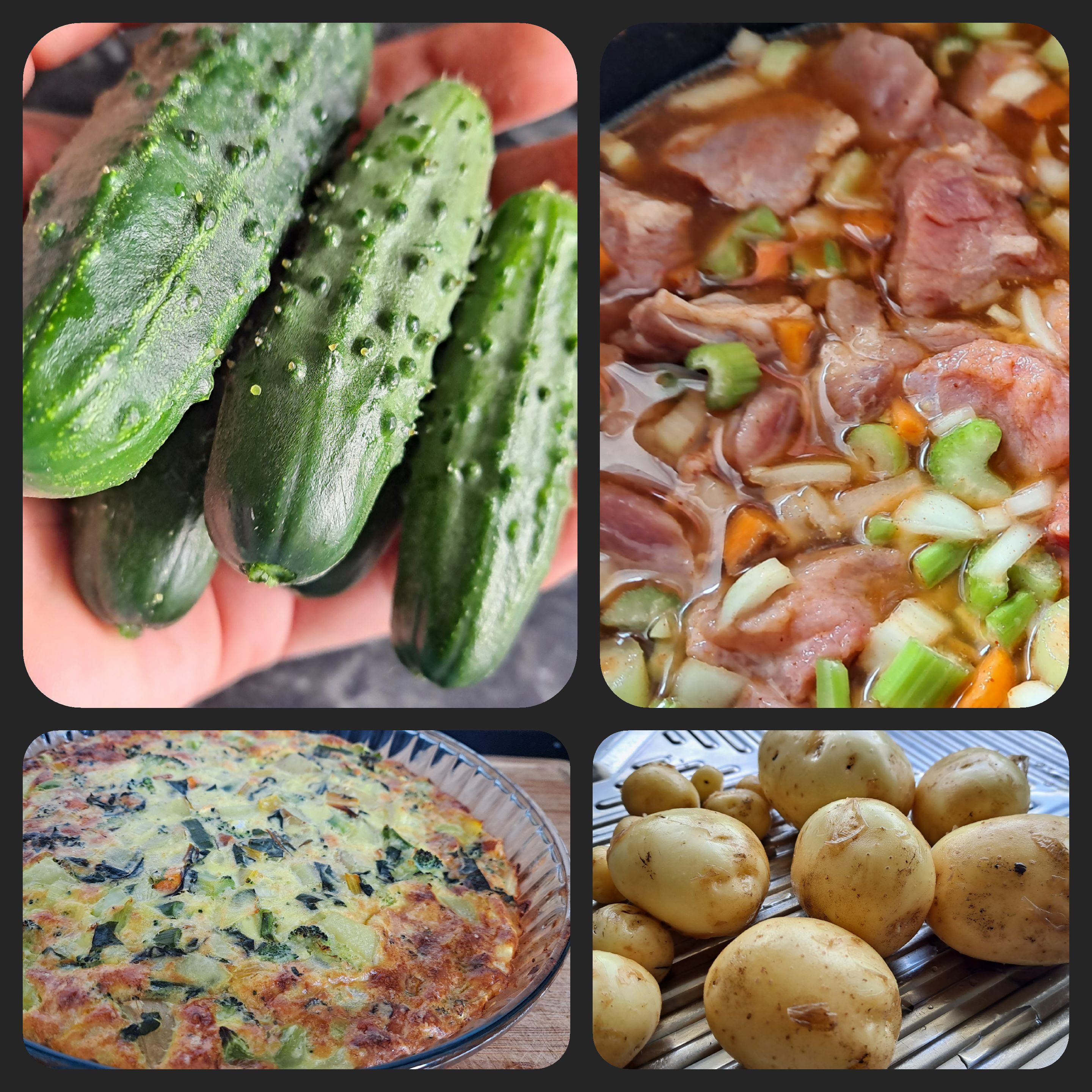 Grow Bags and Fridge Contents