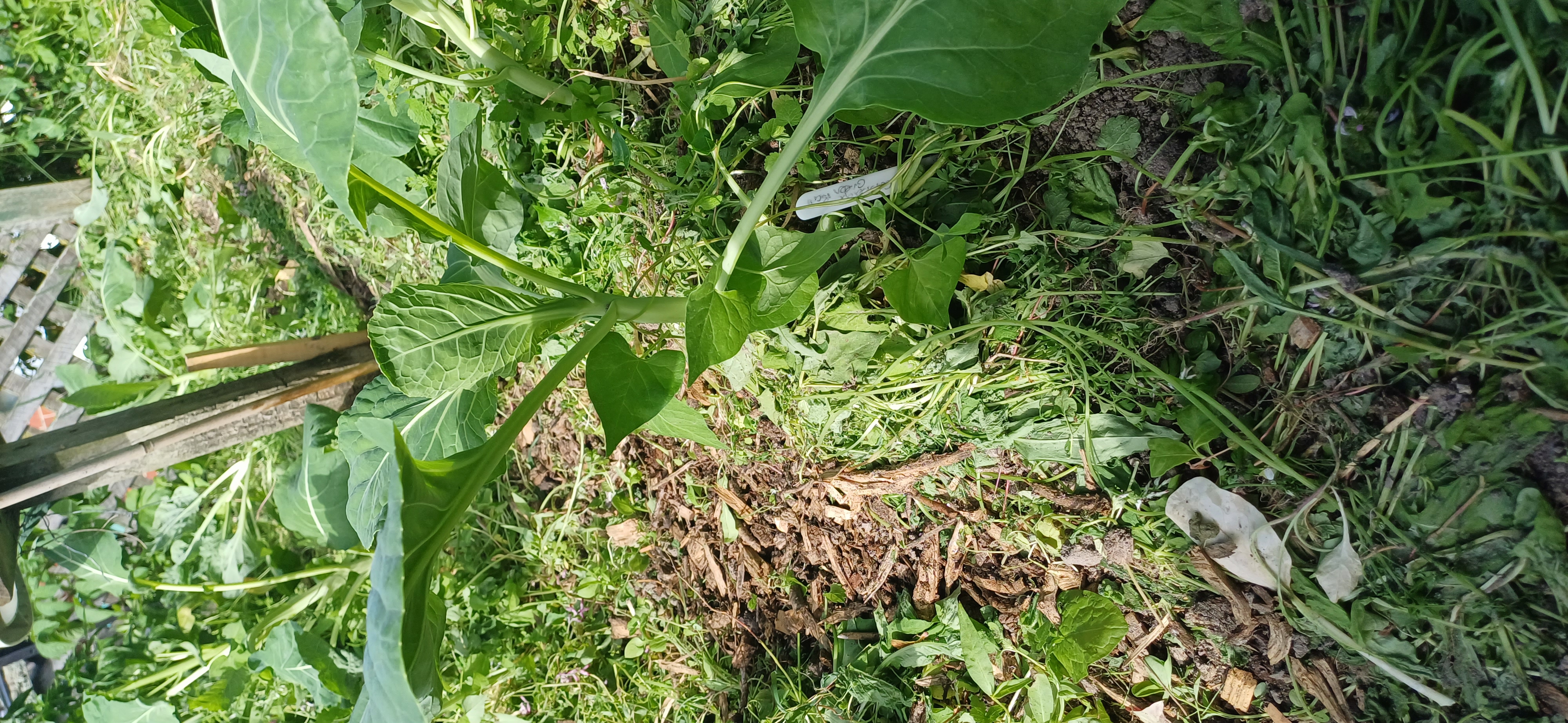 Things that didn't quite work 