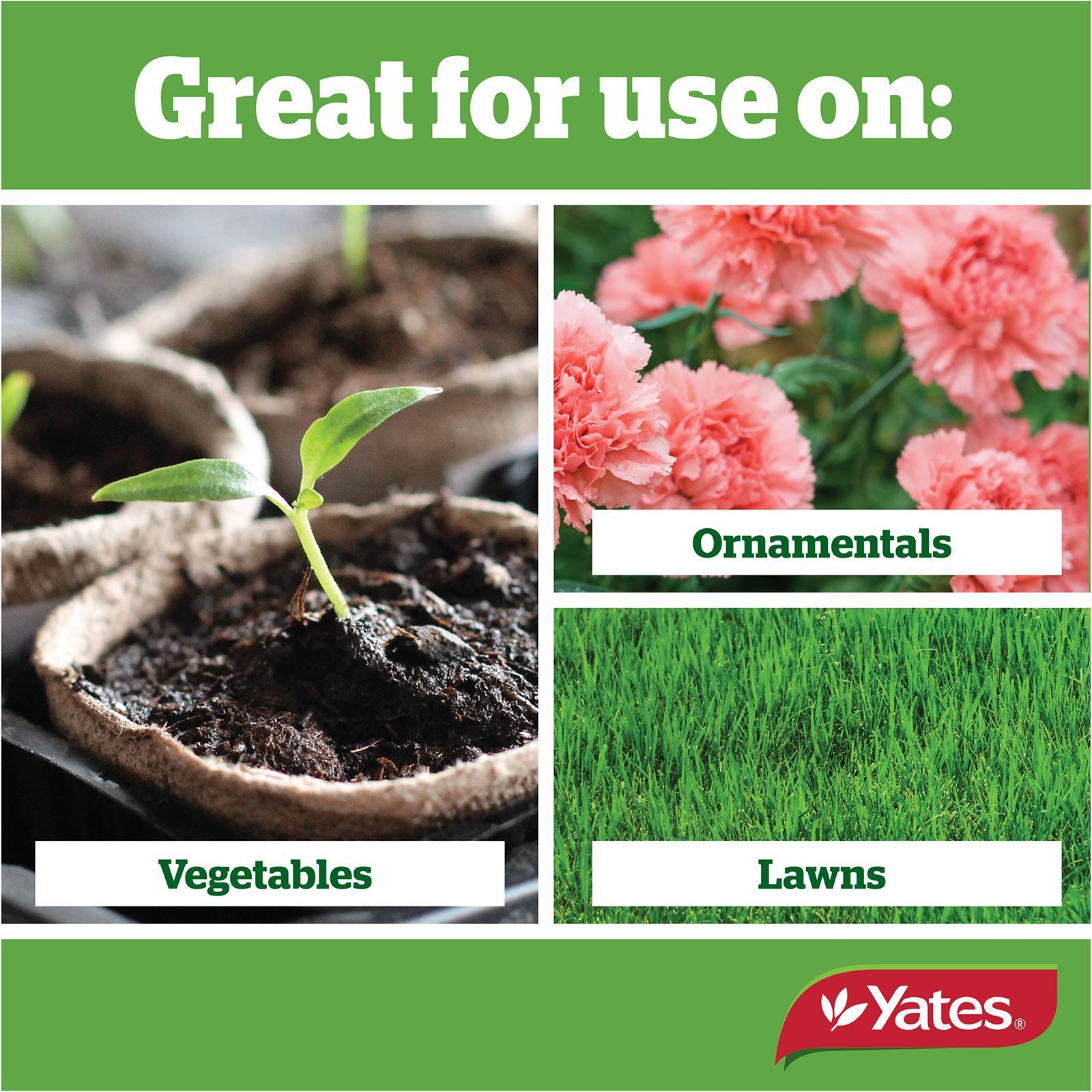 Fish Seaweed Tonic V2 08