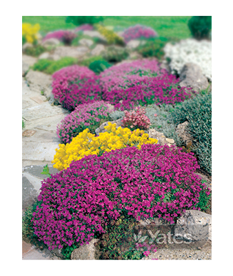 Rockery Mixture Product