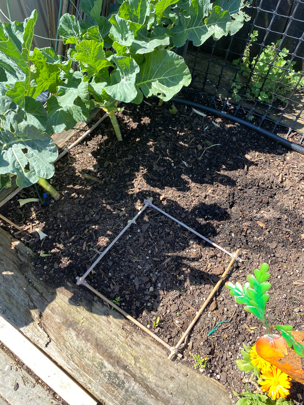 Garden Planning - Small spaces - Pt1