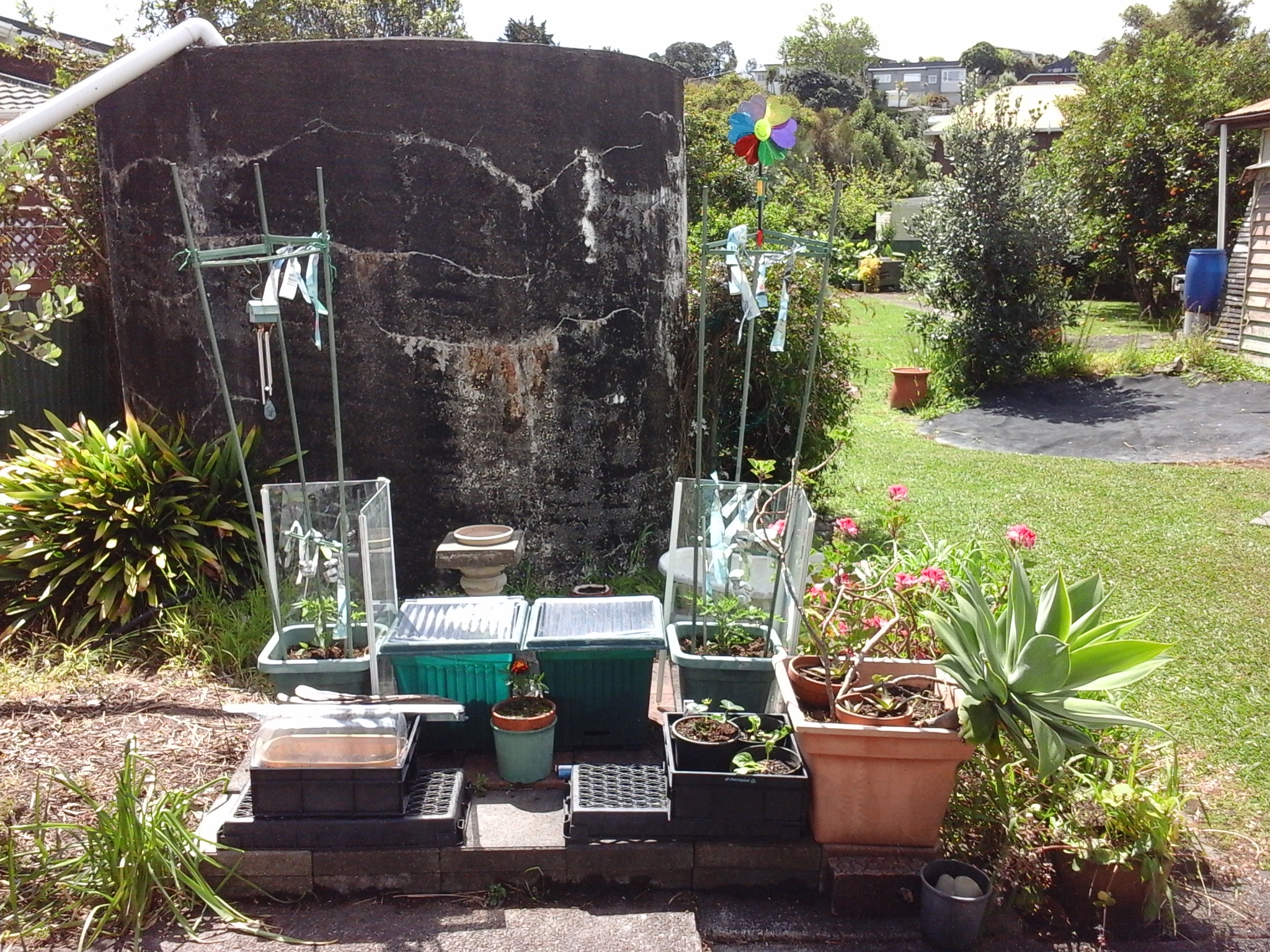 My Patch Is My Happy Place.