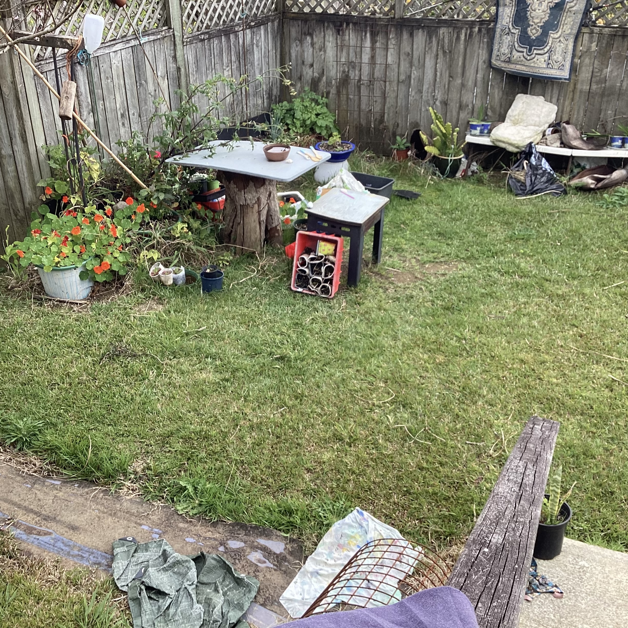 The White Garden … BEFORE shot…